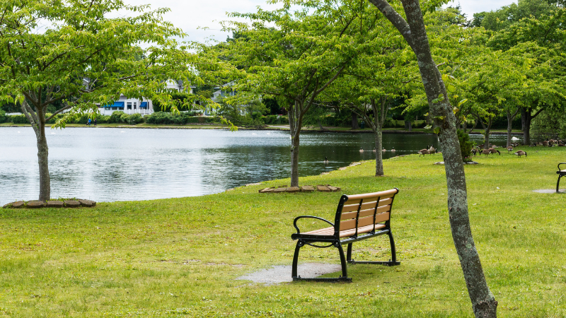 Late-Summer Day Trips: North Shore vs South Shore Picks for a One-Day Escape | Laffey Real Estate